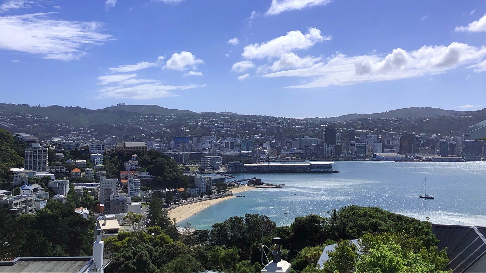 wellington-on-a-good-day-16-9-CG-20220127